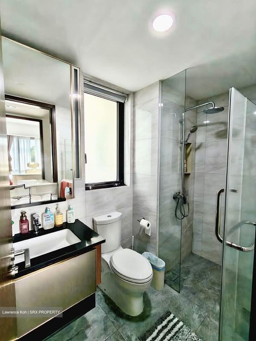 Normanton Park (D5), Apartment #566695941